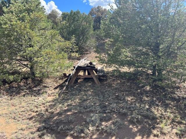 96 River Ridge Trail Walsenburg, CO 81089 - Photo 19 of 28