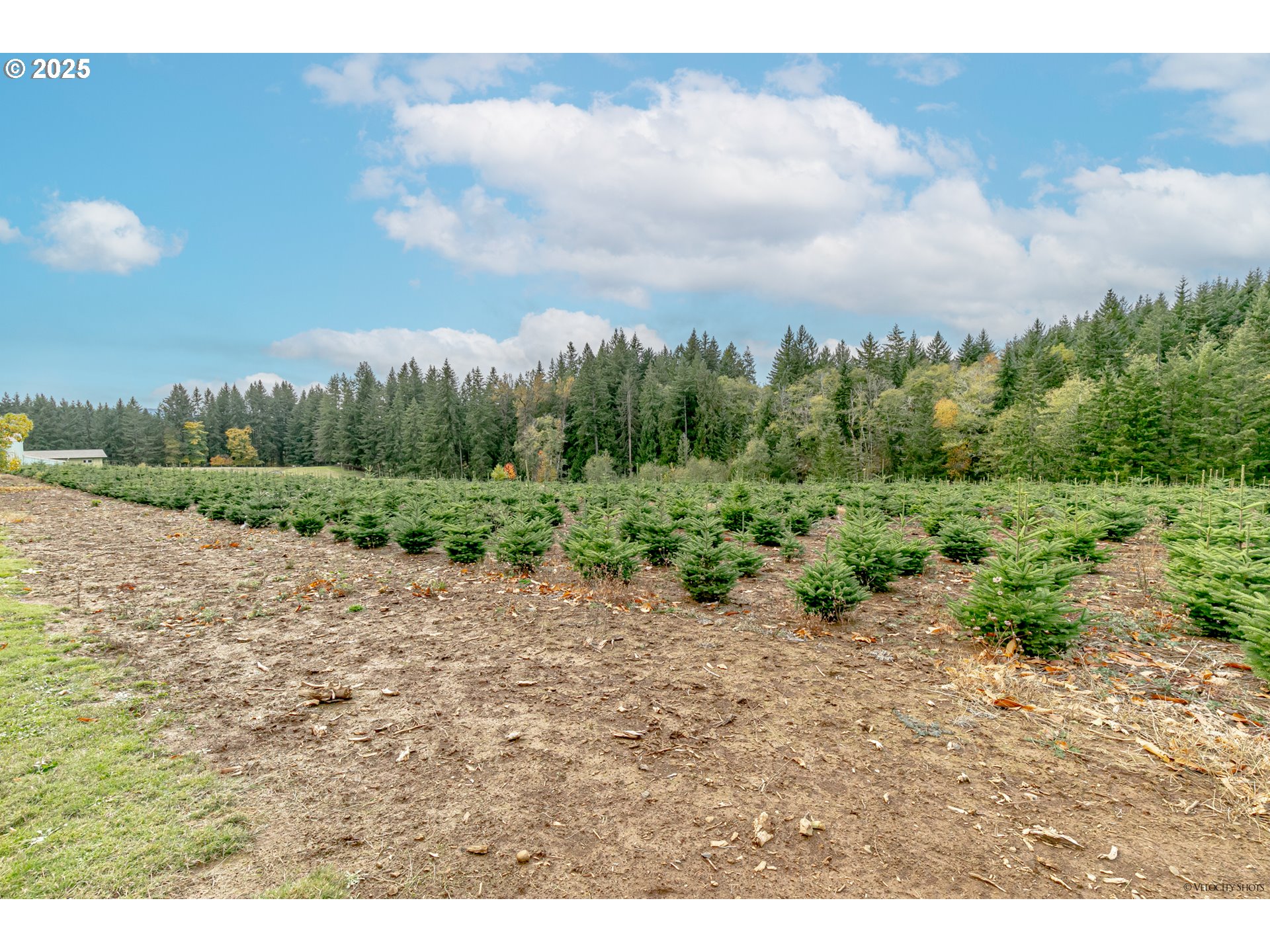 29795 Southeast Gruber Road Estacada, OR 97023 - Photo 36 of 45