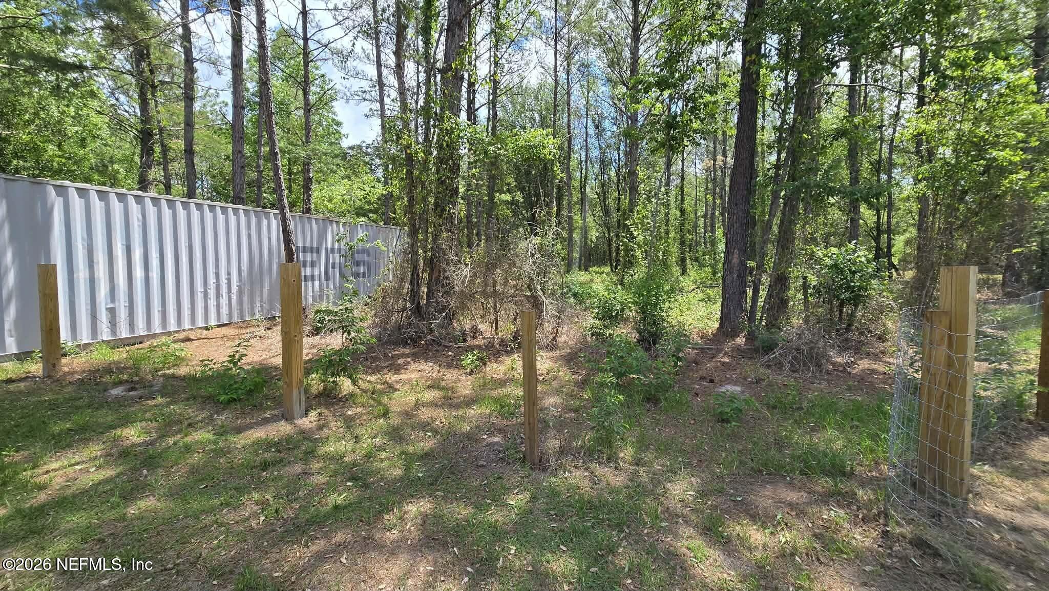 3923 Skipper Road Middleburg, FL 32068 - Photo 18 of 25 a view of a lush green forest