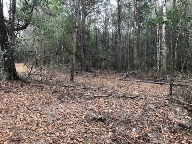 25-ac Gantt Road Andalusia, AL 36421 - Photo 7 of 36 Gallery Image 7