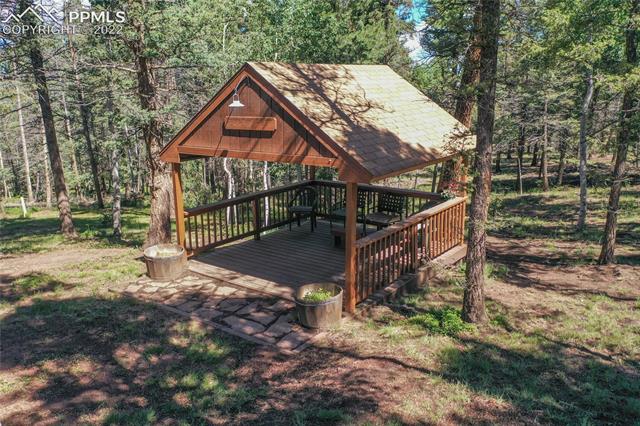 37 Quartz Road Florissant, CO 80816 - Photo 48 of 50