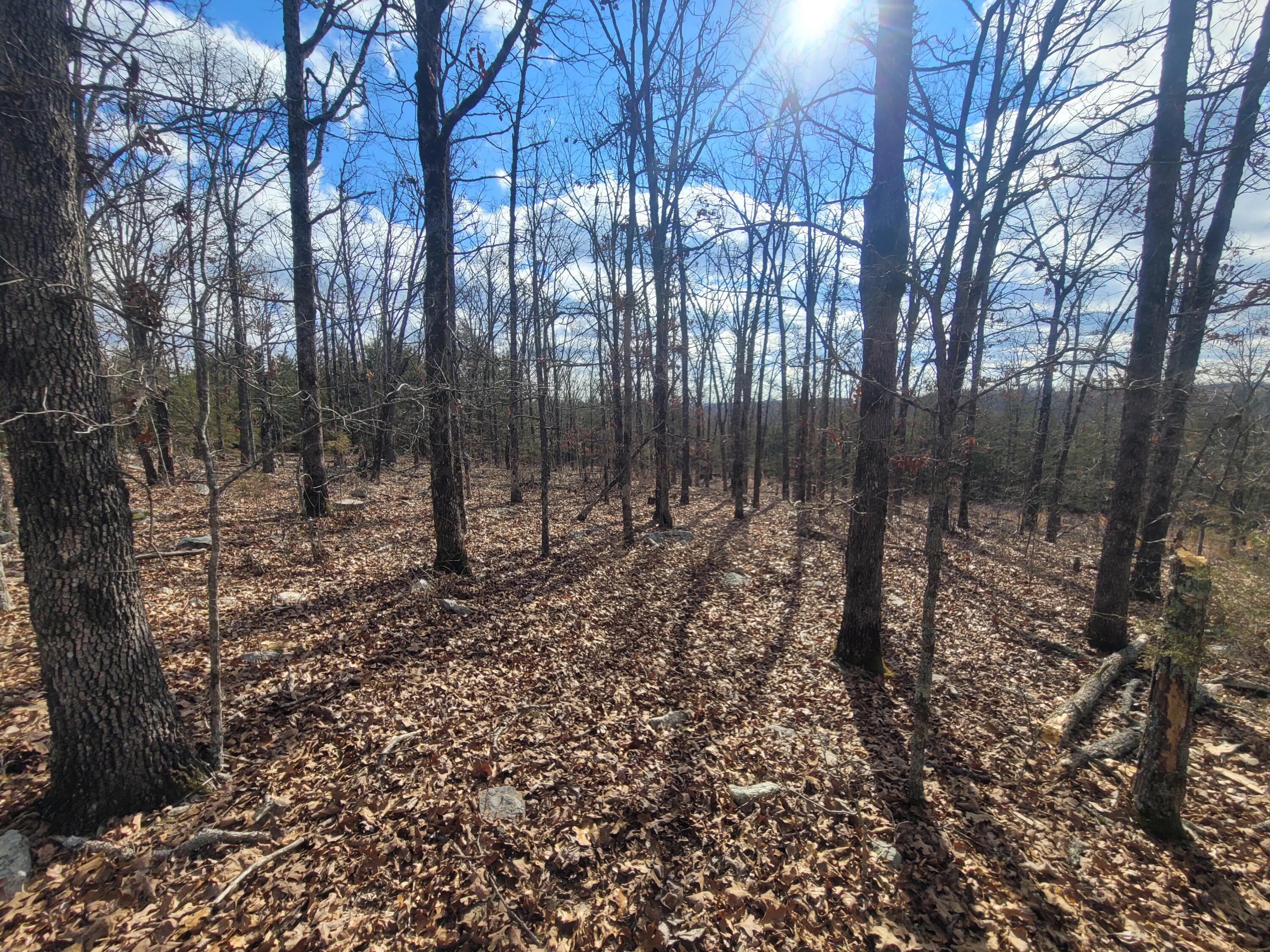 361 Hickory Flats Road Ava, MO 65608 - Photo 33 of 47 20250123_113737