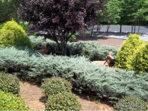 782 Front Ridge Circle Rutherfordton, NC 28139 - Photo 5 of 24 a view of backyard with large tree and outdoor seating