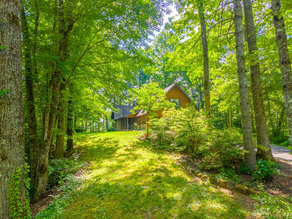 171 High Splendor Drive Robbinsville, NC 28771 - Photo 52 of 62