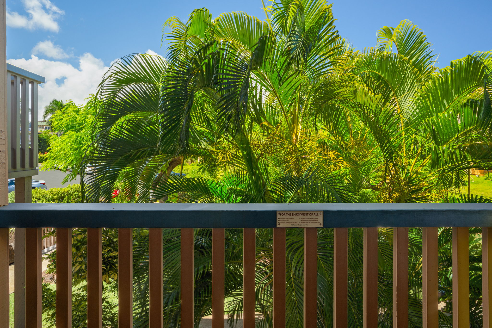 1870 Hoone Road, Unit 511 Koloa, HI 96756 - Photo 14 of 30 a balcony with a plant in it