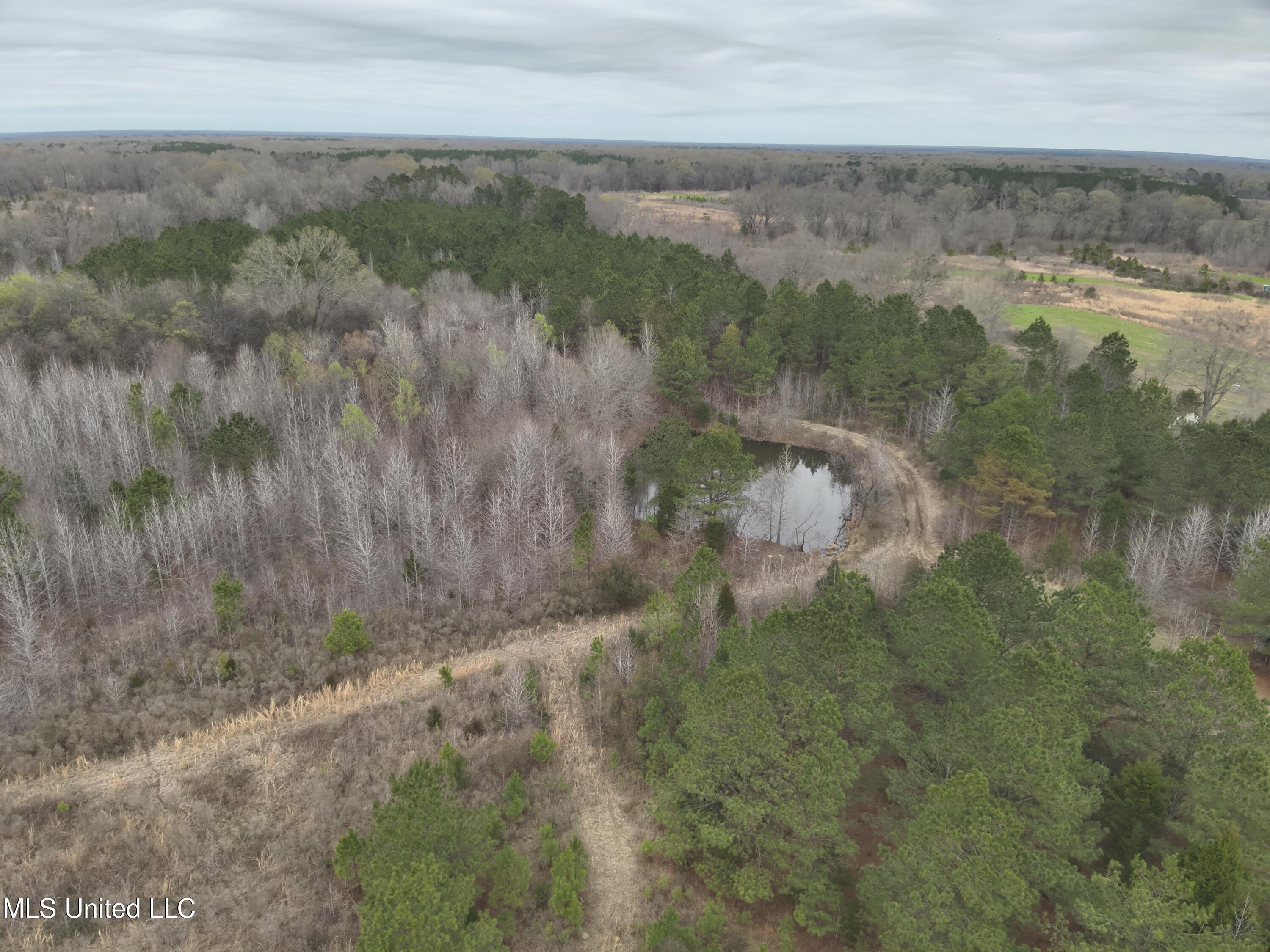 0 Stokes Road Canton, MS 39046 - Photo 1 of 70 Established Hunting Land!