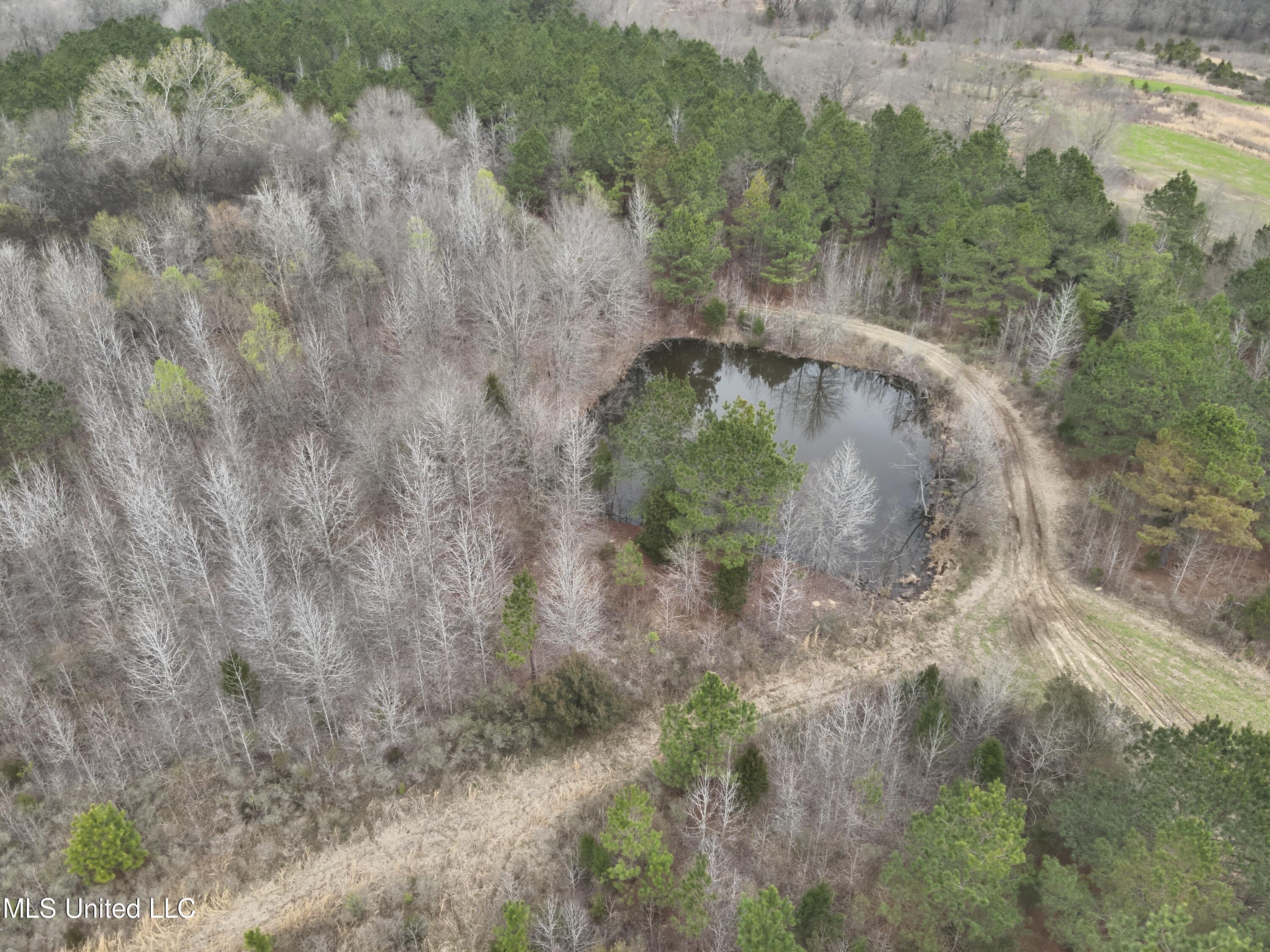 0 Stokes Road Canton, MS 39046 - Photo 3 of 70 DJI_20230224114713_0004_V