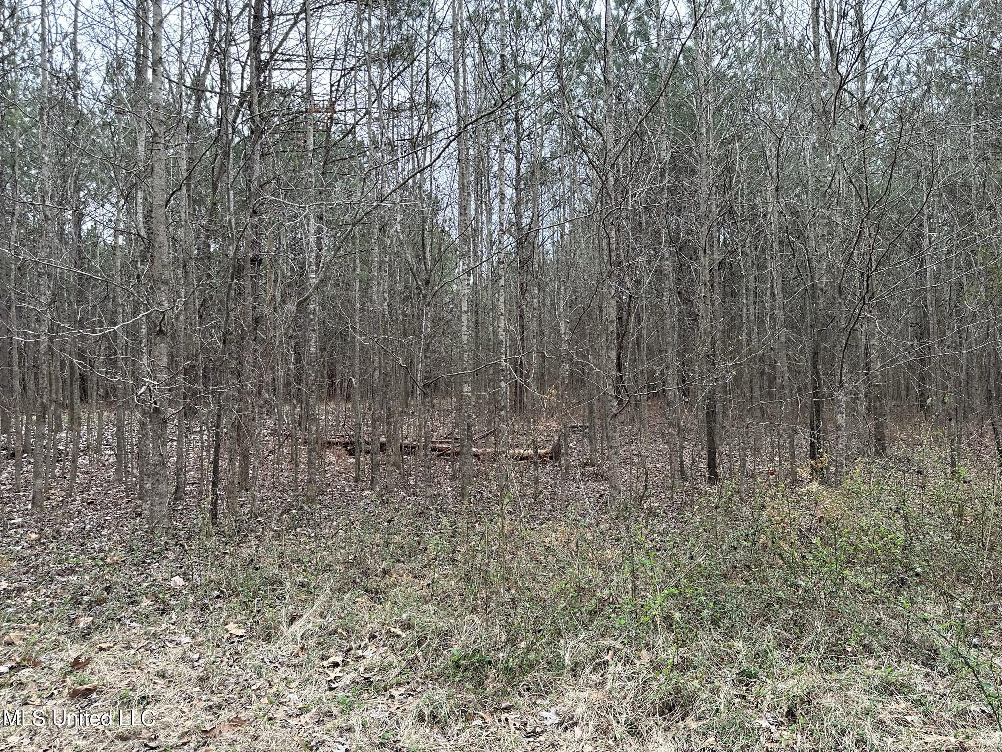 0 Stokes Road Canton, MS 39046 - Photo 45 of 70 IMG_1252