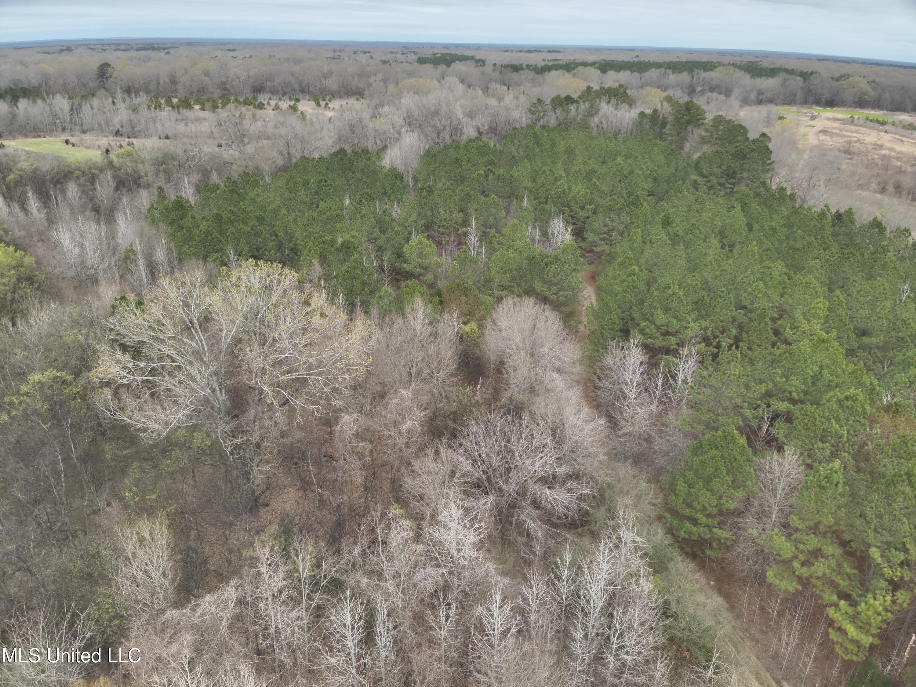 0 Stokes Road Canton, MS 39046 - Photo 5 of 70 DJI_20230224114810_0006_V