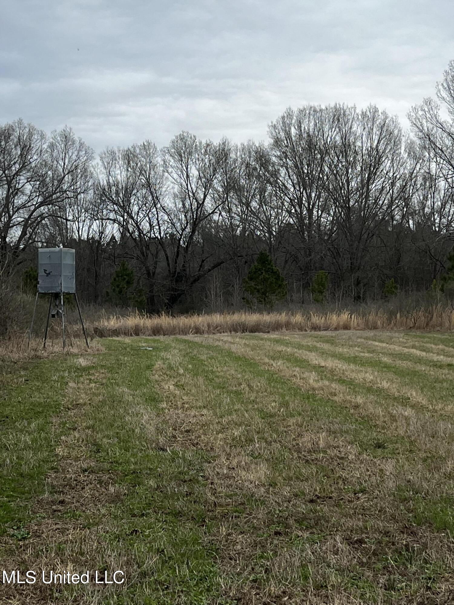 0 Stokes Road Canton, MS 39046 - Photo 60 of 70 IMG_5080