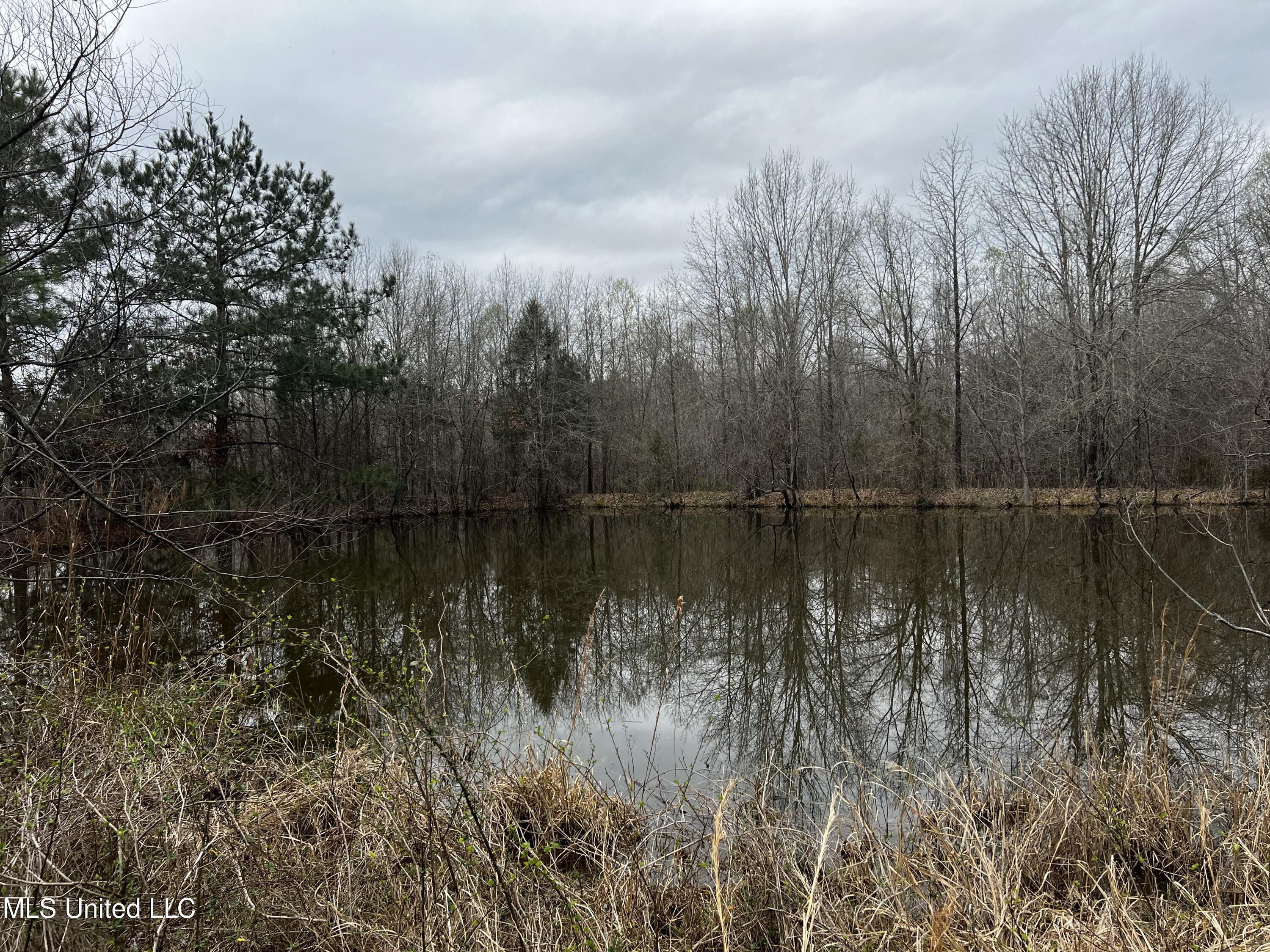 0 Stokes Road Canton, MS 39046 - Photo 68 of 70 IMG_5089