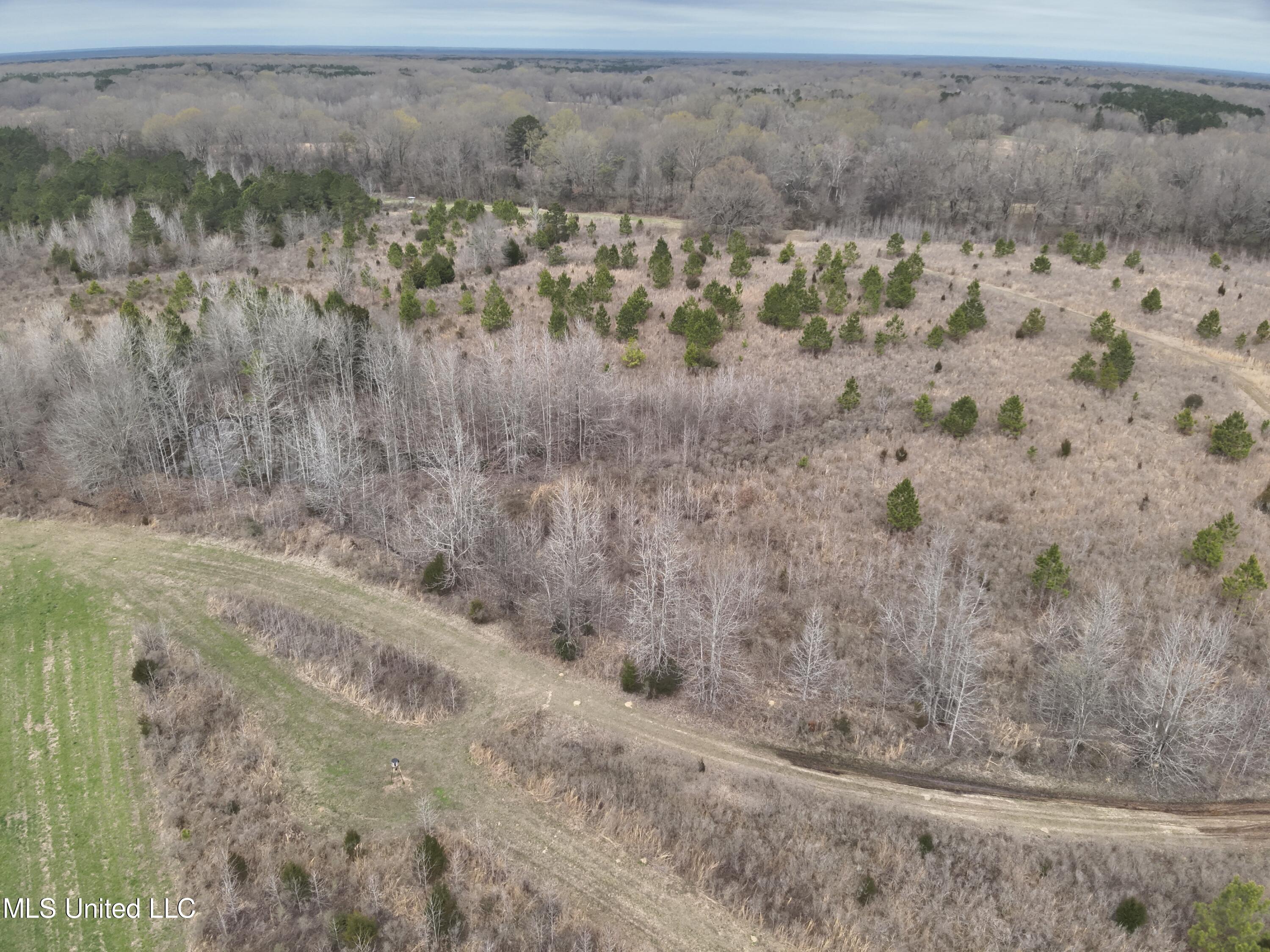 0 Stokes Road Canton, MS 39046 - Photo 7 of 70 DJI_20230224114909_0008_V