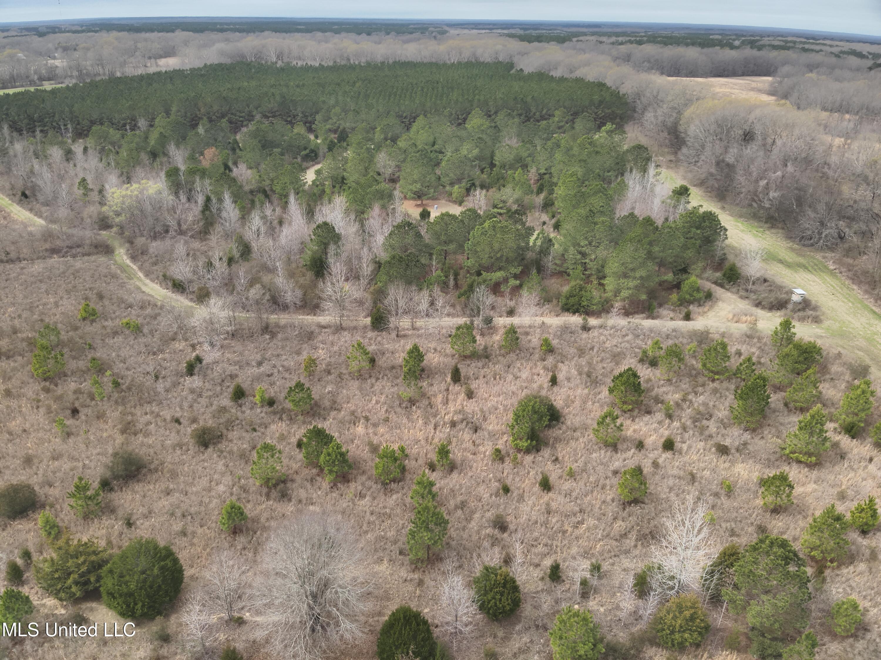 0 Stokes Road Canton, MS 39046 - Photo 8 of 70 DJI_20230224114945_0009_V