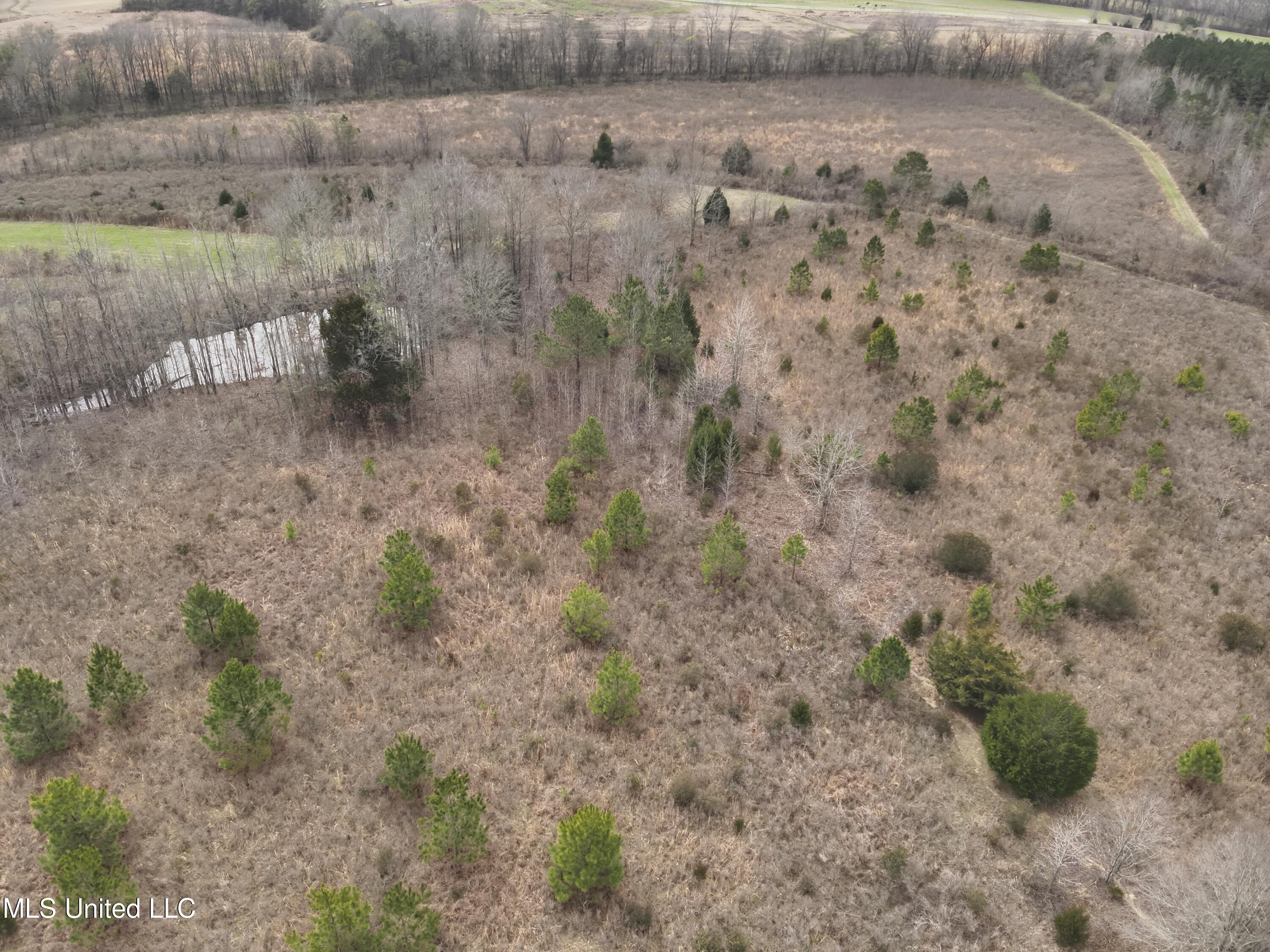 0 Stokes Road Canton, MS 39046 - Photo 9 of 70 DJI_20230224114956_0010_V