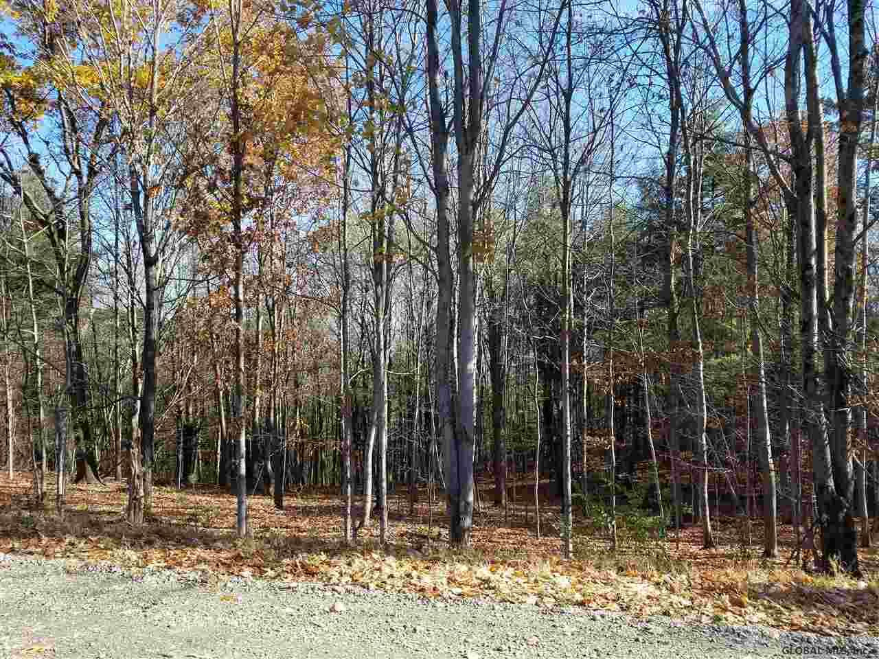 0 Fire Tower Road Cambridge, NY 12816 - Photo 11 of 20 Photo 11