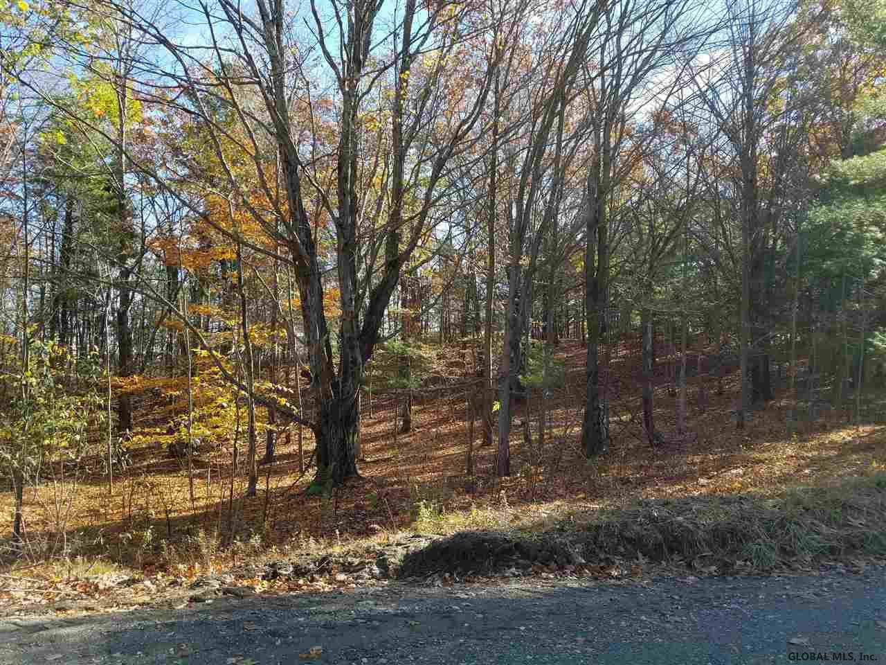 0 Fire Tower Road Cambridge, NY 12816 - Photo 12 of 20 Photo 12