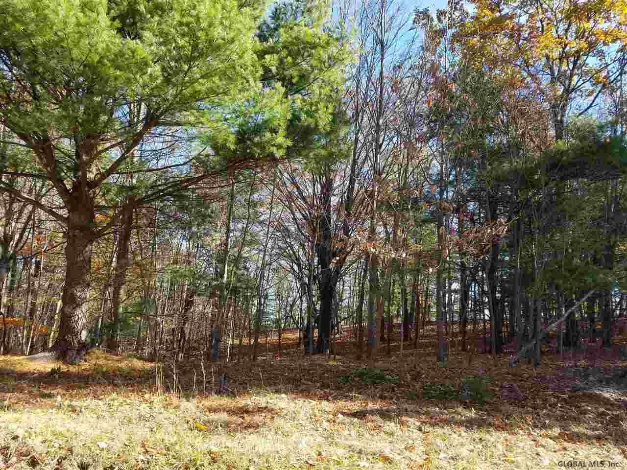0 Fire Tower Road Cambridge, NY 12816 - Photo 13 of 20 Photo 13