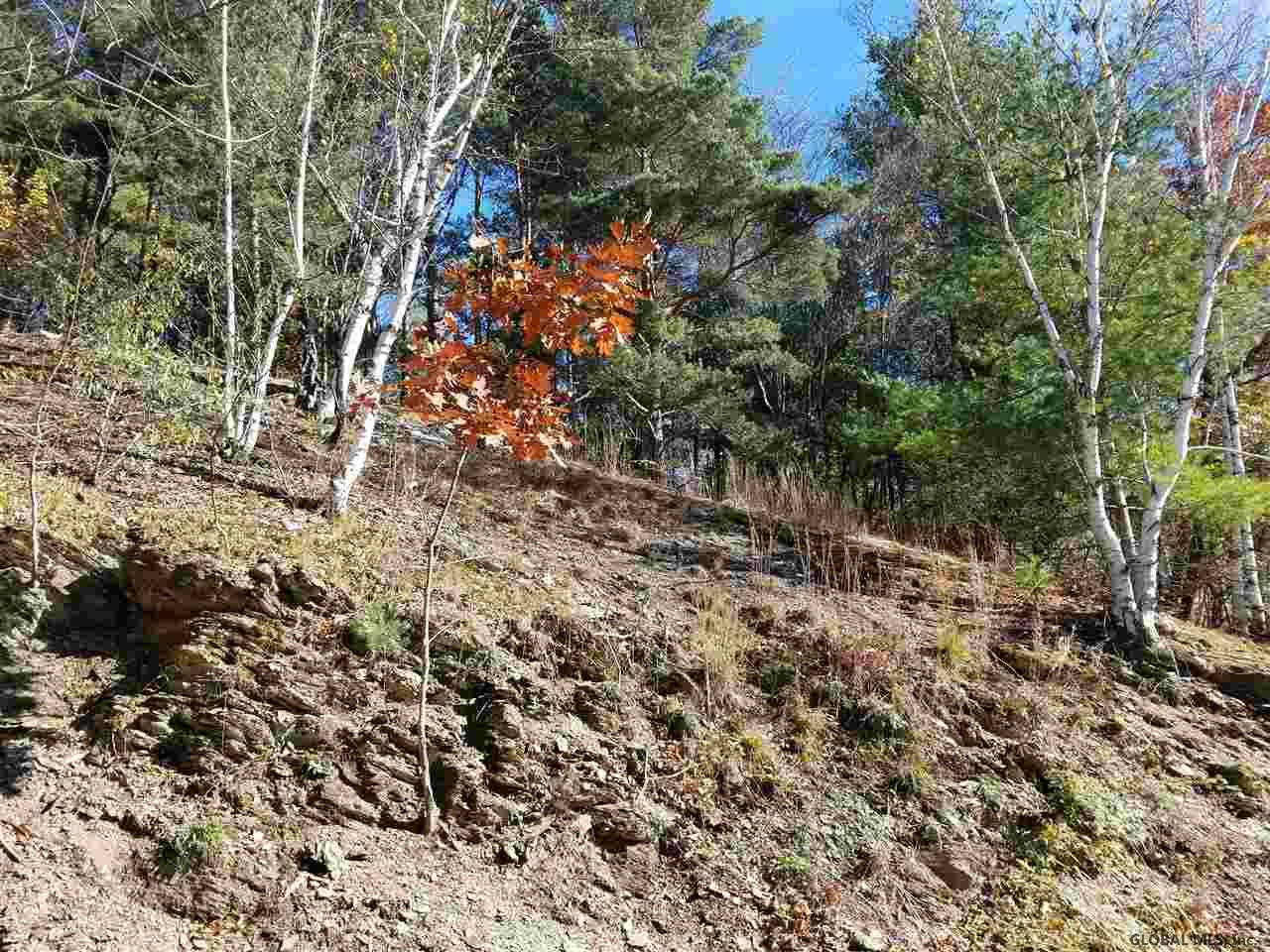 0 Fire Tower Road Cambridge, NY 12816 - Photo 14 of 20 Photo 14