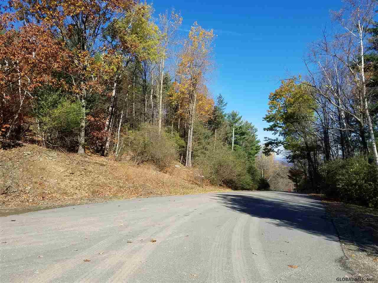0 Fire Tower Road Cambridge, NY 12816 - Photo 16 of 20 Photo 16