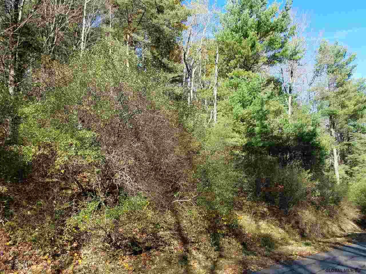 0 Fire Tower Road Cambridge, NY 12816 - Photo 17 of 20 Photo 17