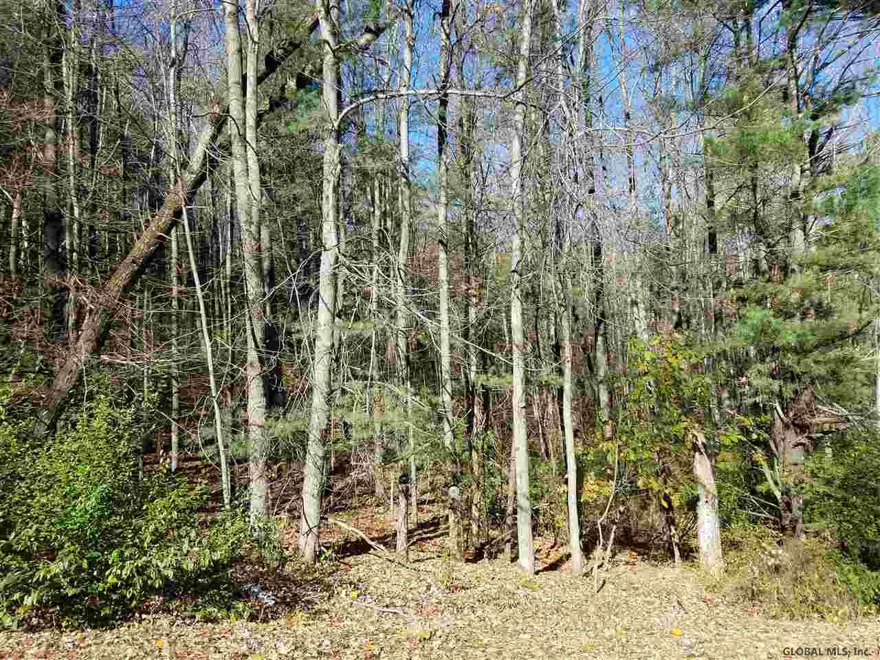 0 Fire Tower Road Cambridge, NY 12816 - Photo 18 of 20 Photo 18