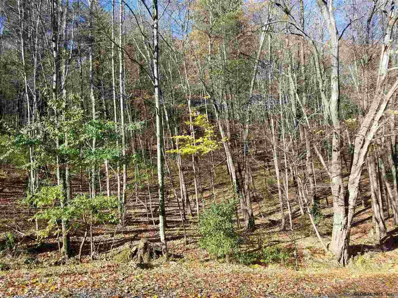 0 Fire Tower Road Cambridge, NY 12816 - Photo 19 of 20 Photo 19