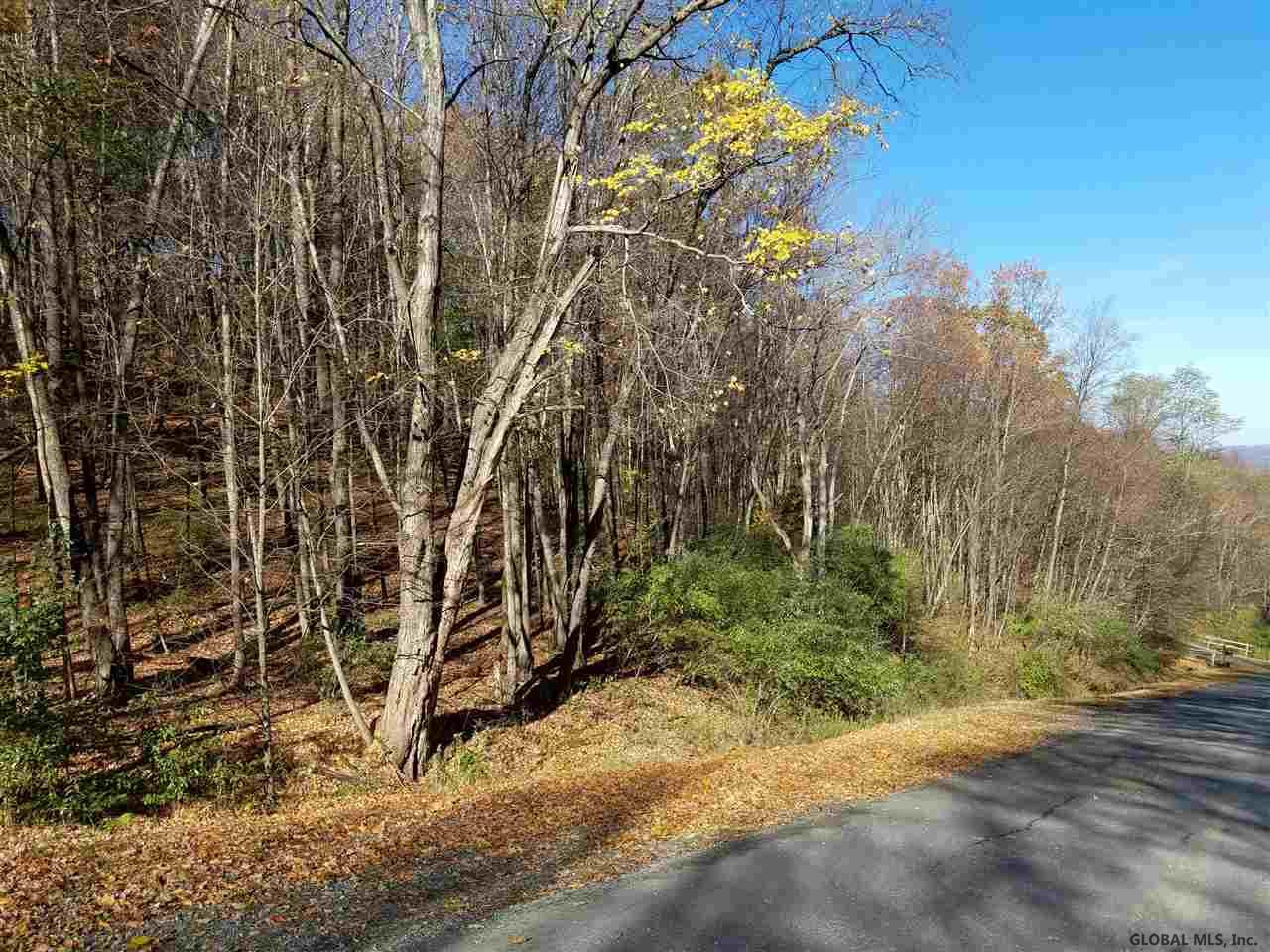 0 Fire Tower Road Cambridge, NY 12816 - Photo 20 of 20 Photo 20