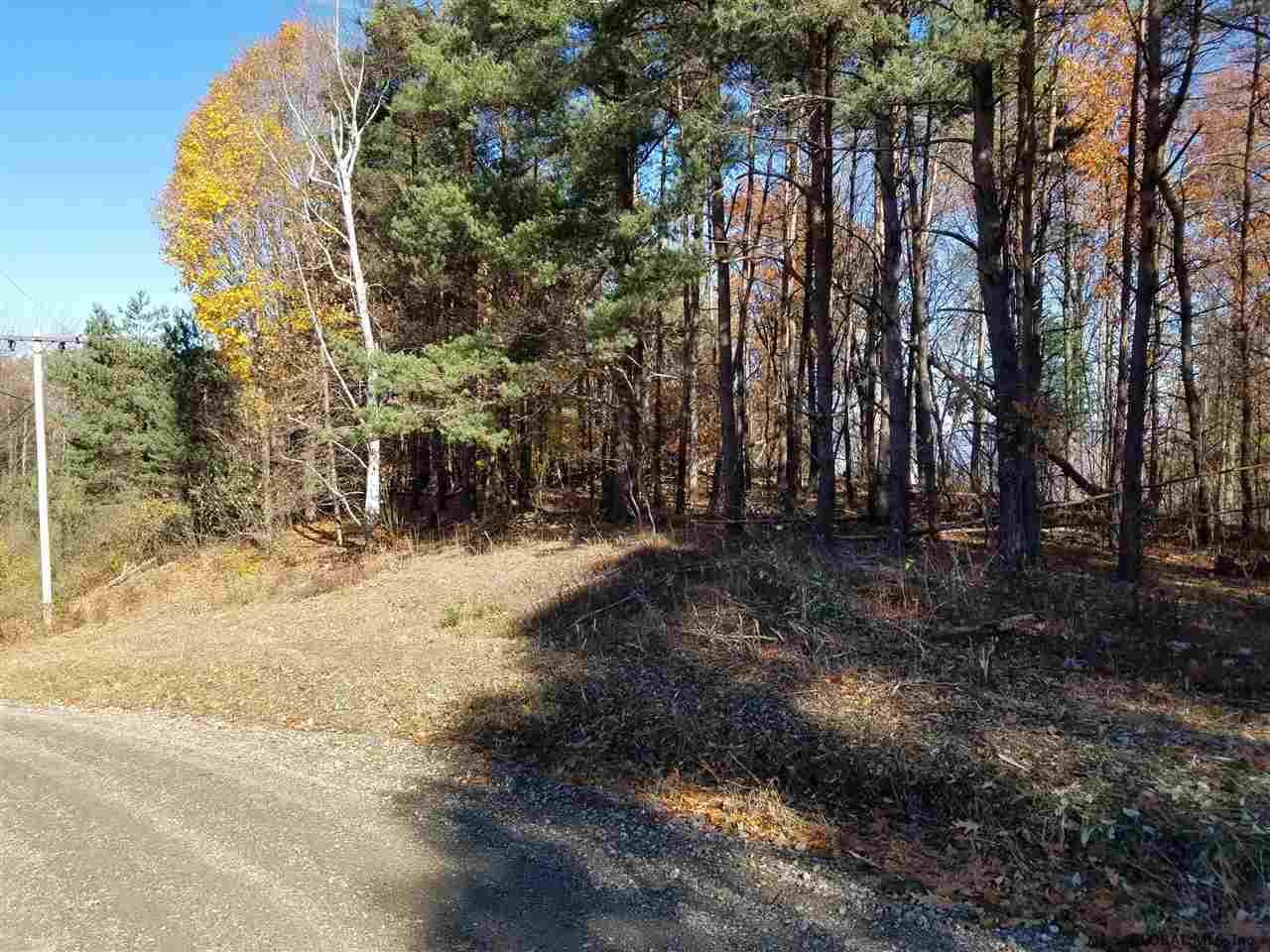 0 Fire Tower Road Cambridge, NY 12816 - Photo 7 of 20 Photo 7