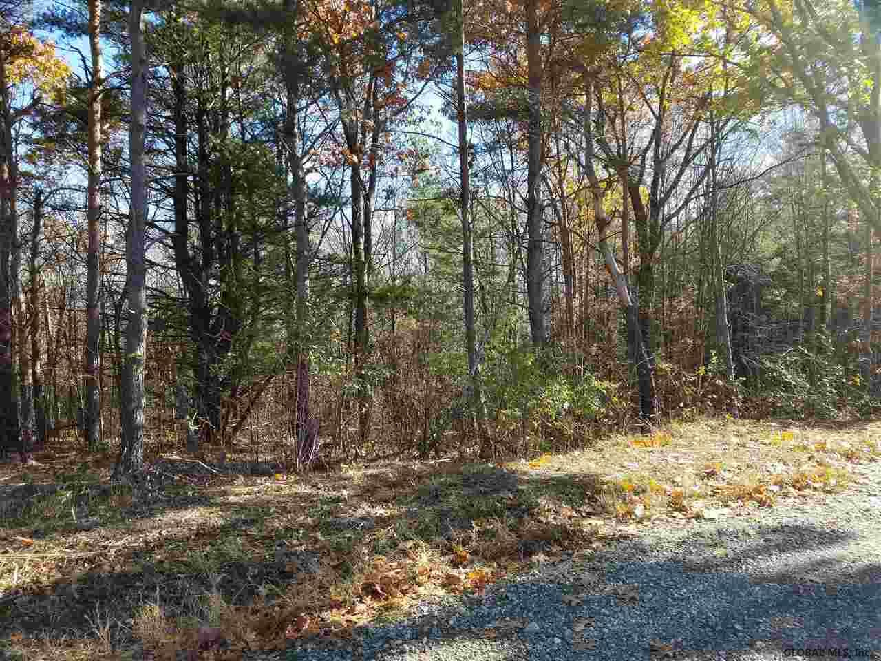 0 Fire Tower Road Cambridge, NY 12816 - Photo 8 of 20 Photo 8