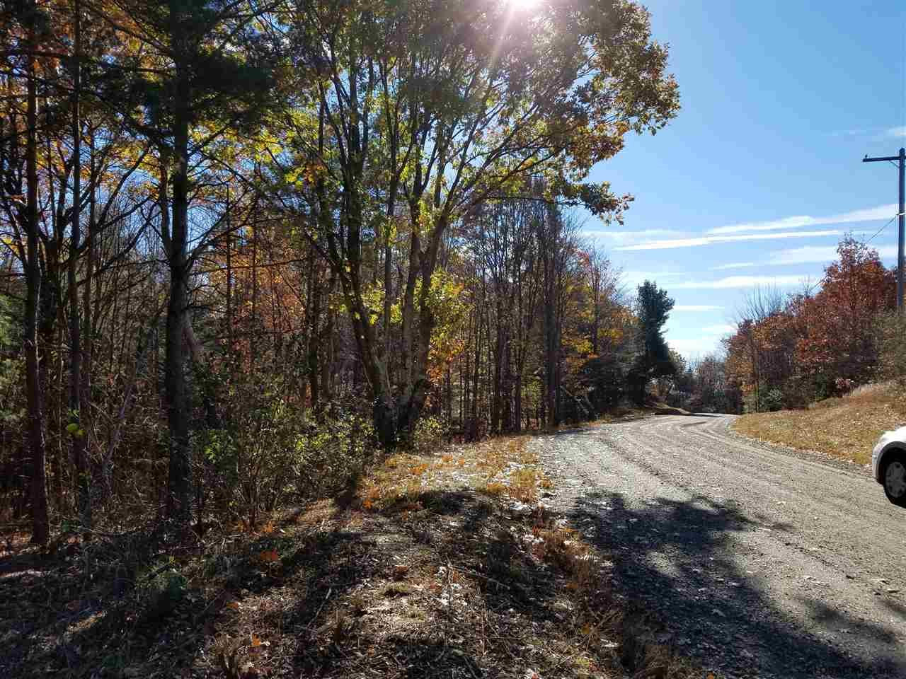 0 Fire Tower Road Cambridge, NY 12816 - Photo 10 of 20 Photo 10