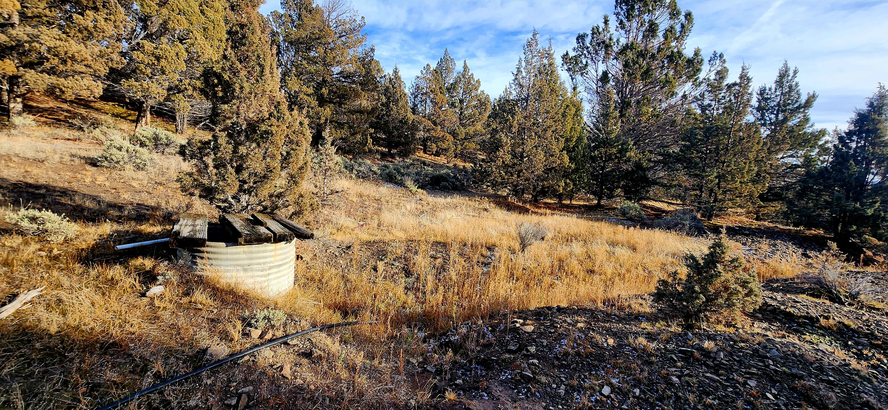 Merrill Road, Unit TL 1800 Prineville, OR 97754 - Photo 12 of 16 320ac_Img6