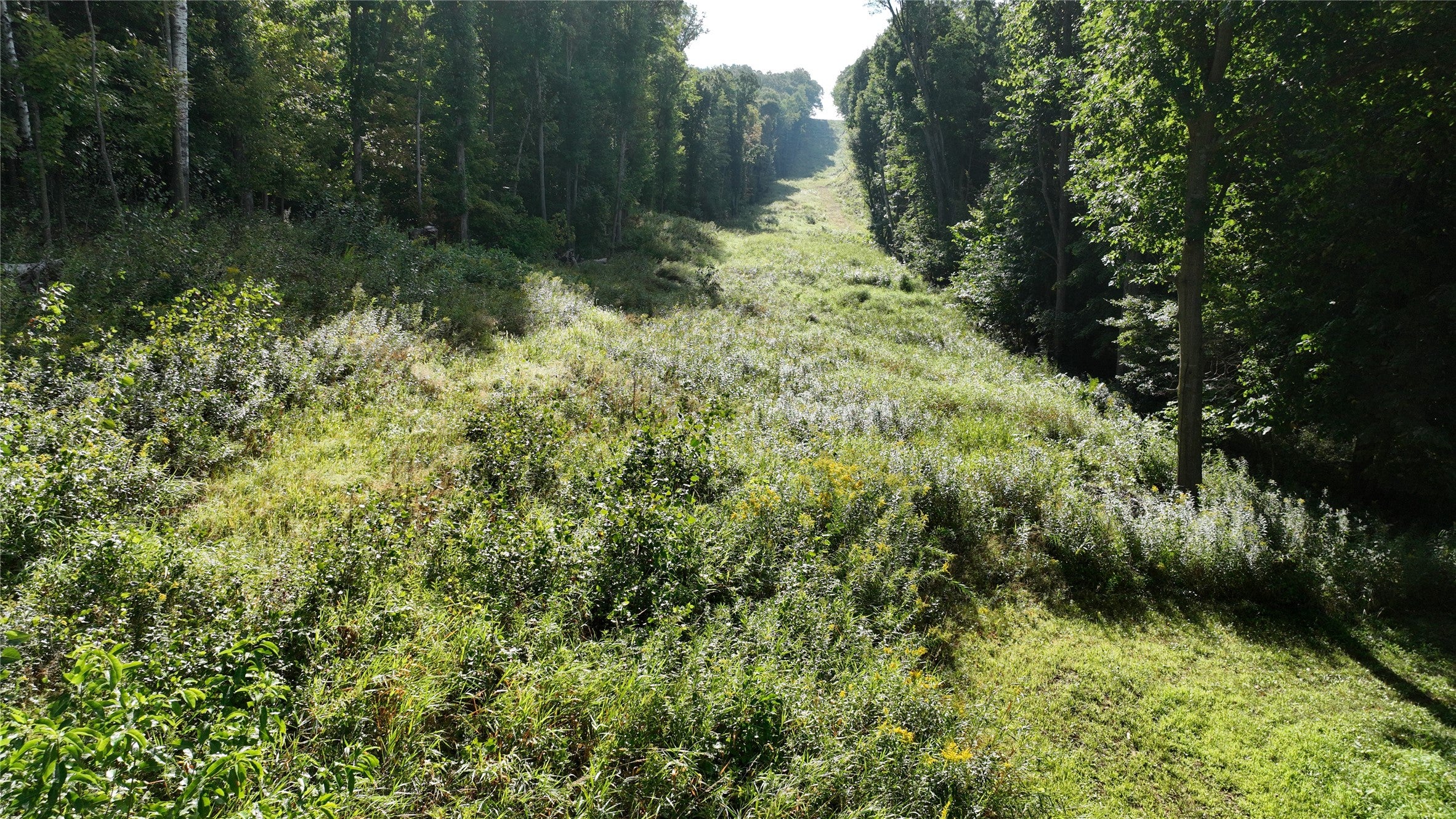Xx County Rd O Boyceville, WI 54725 - Photo 17 of 36 Gallery Image 17
