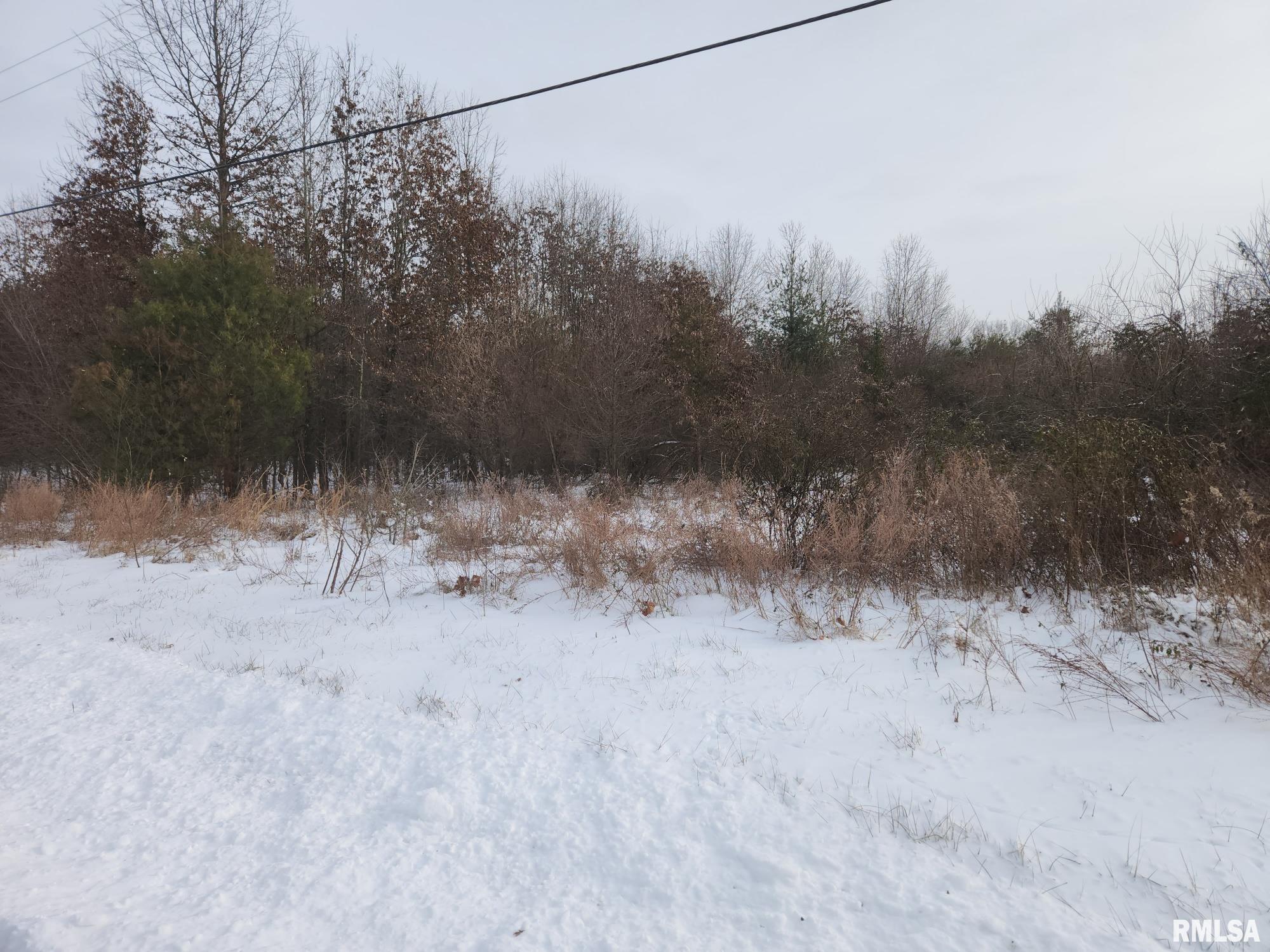 Lot 5 East Hutchison Road Mount Vernon, IL 62864 - Photo 1 of 5 Gallery Image 1