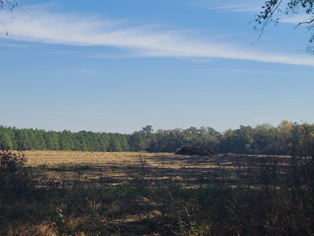 429 Summer Road Slocomb, AL 36375 - Photo 5 of 8