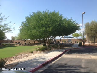 13003 West Lawrence Road Glendale, AZ 85307 - Photo 11 of 12 Park Area next to Splash Pad