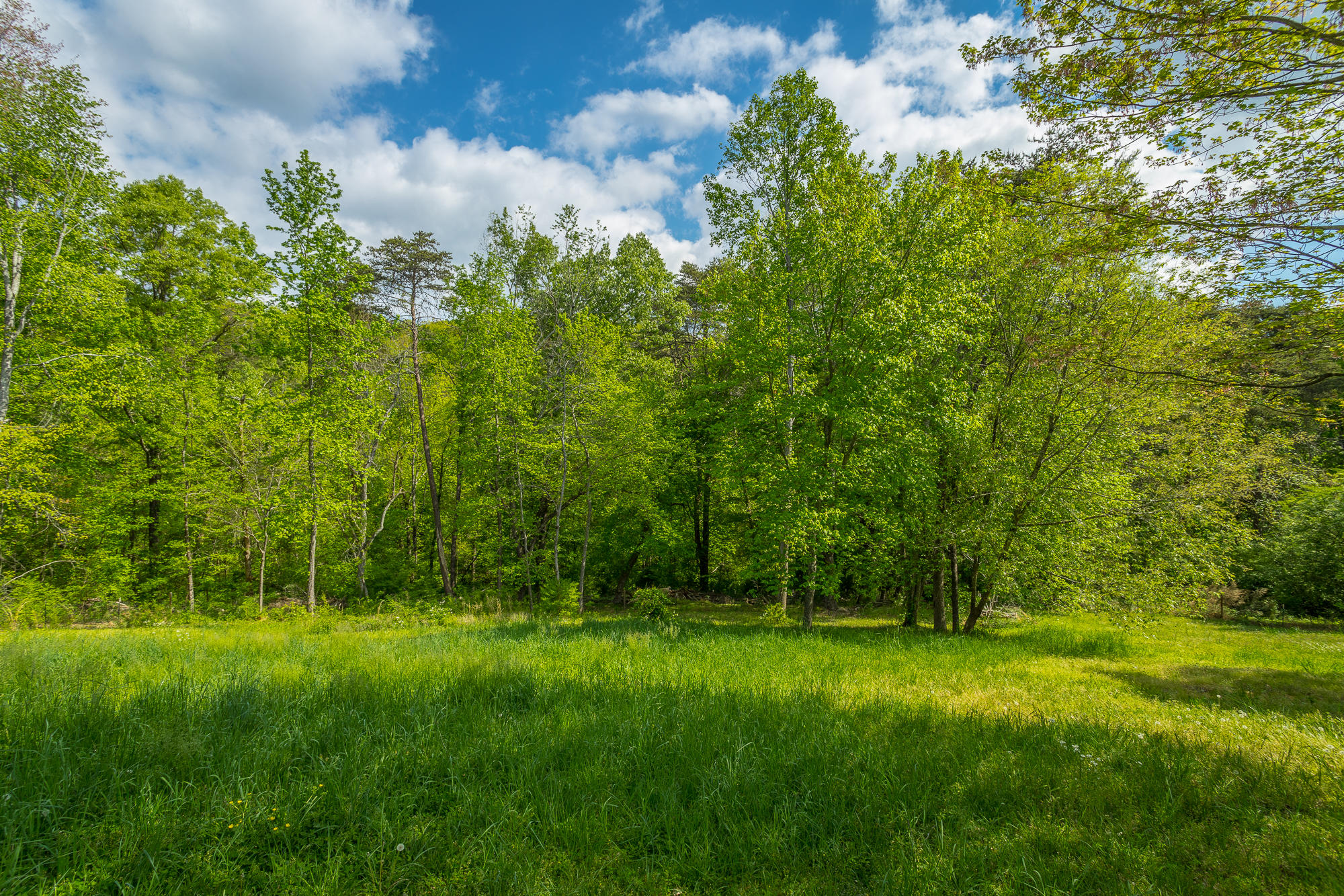 2535 Folkner Road Hixson, TN 37343 - Photo 33 of 39 2535 Folkner Rd. HD-61