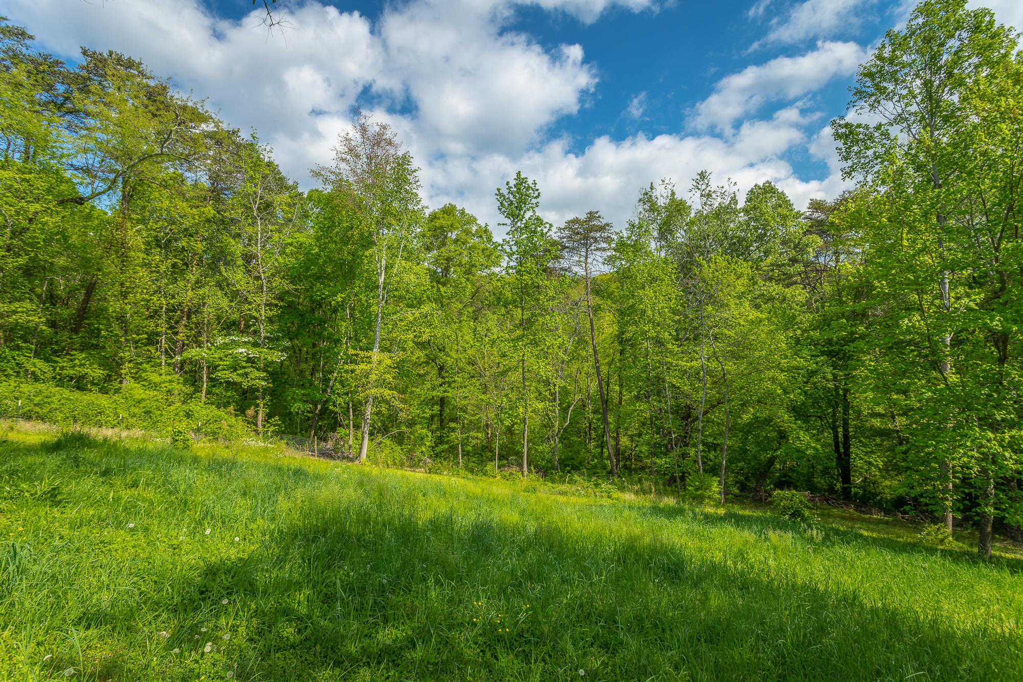 2535 Folkner Road Hixson, TN 37343 - Photo 34 of 39 2535 Folkner Rd. HD-62