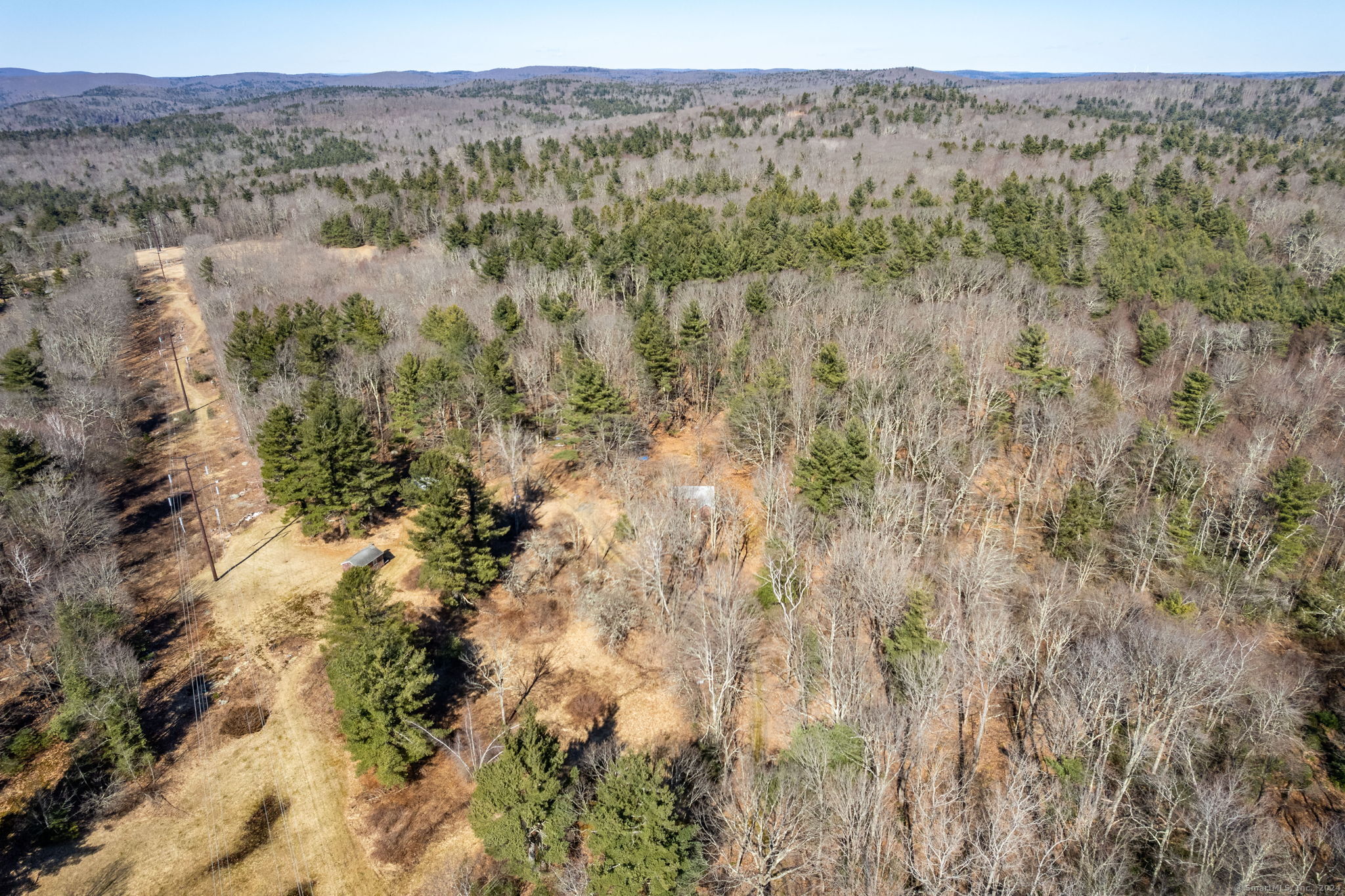 a view of a forest with a forest