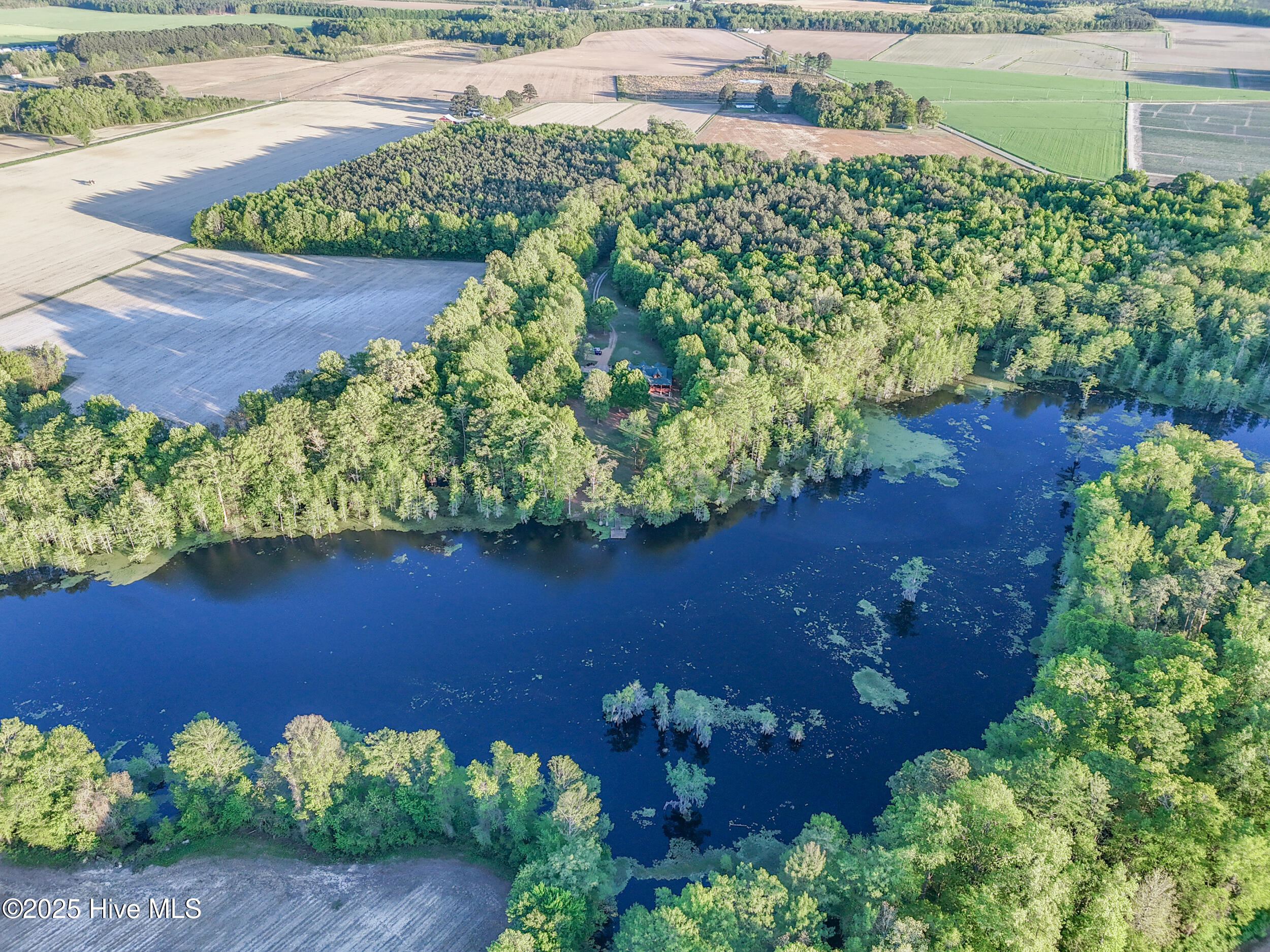 322 Dillard's Mill Road Tyner, NC 27980 - Photo 66 of 67 75.