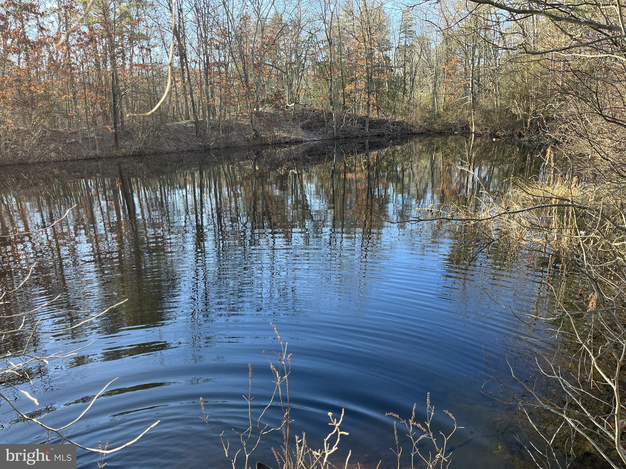 206 Forked Neck Road Shamong, NJ 08088 - Photo 3 of 8 Gallery Image 3