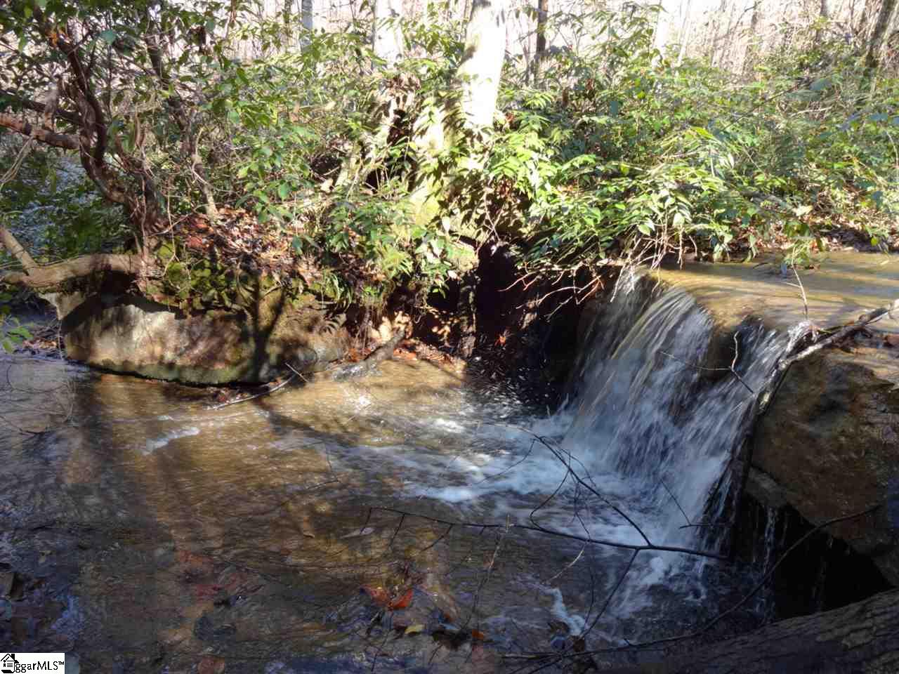0 Old Settlement Road Travelers Rest, SC 29690 - Photo 2 of 36