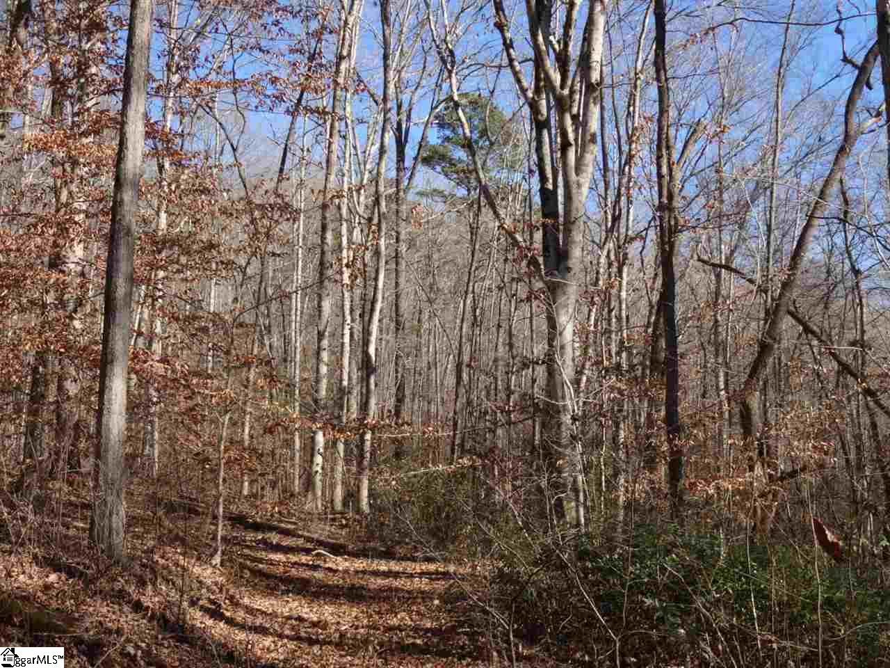 0 Old Settlement Road Travelers Rest, SC 29690 - Photo 25 of 36
