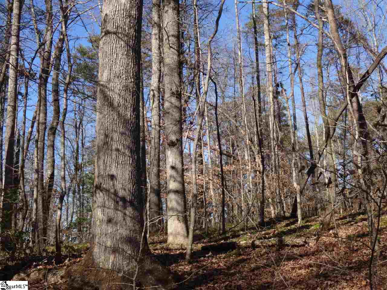 0 Old Settlement Road Travelers Rest, SC 29690 - Photo 26 of 36