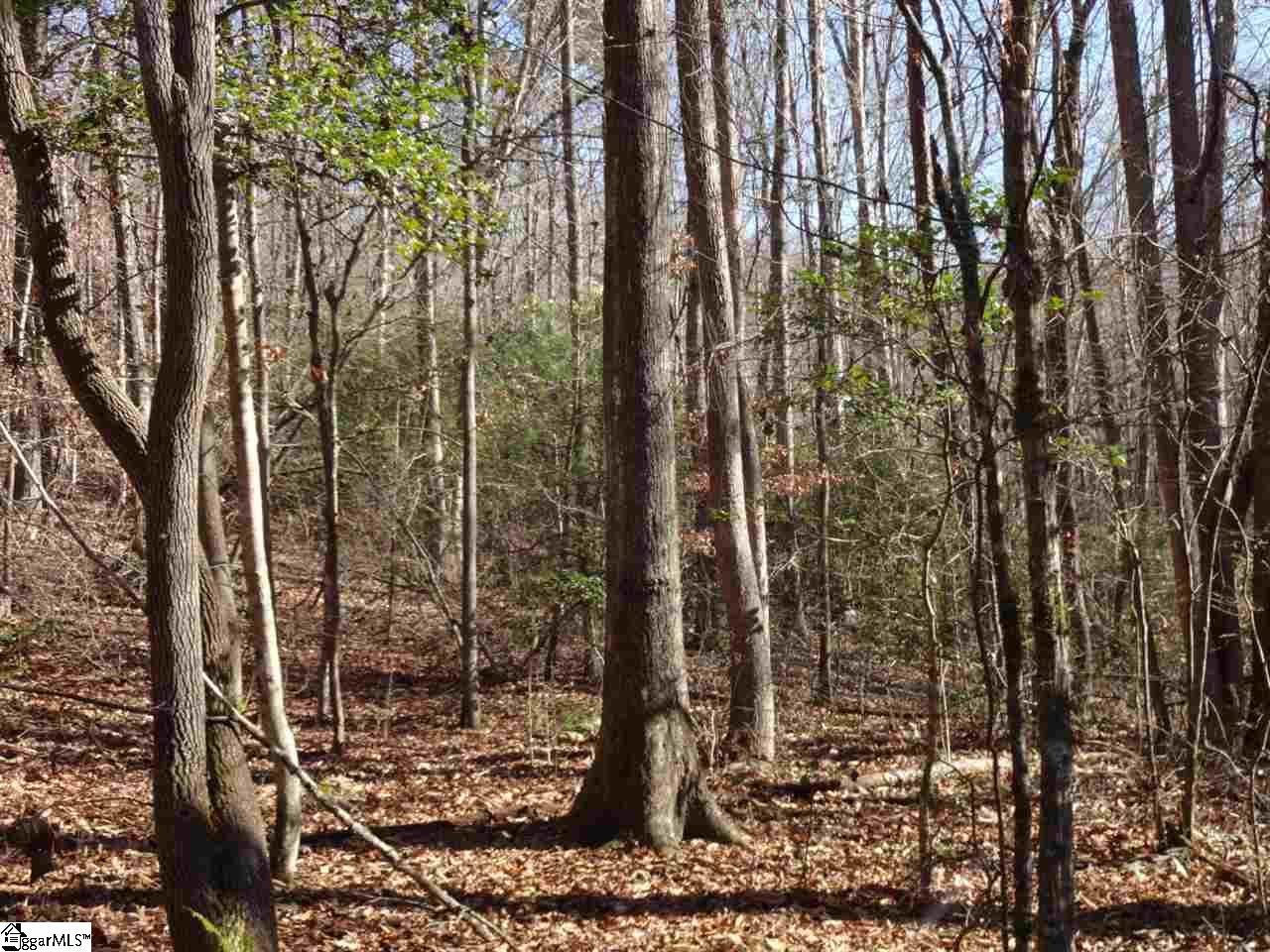 0 Old Settlement Road Travelers Rest, SC 29690 - Photo 27 of 36