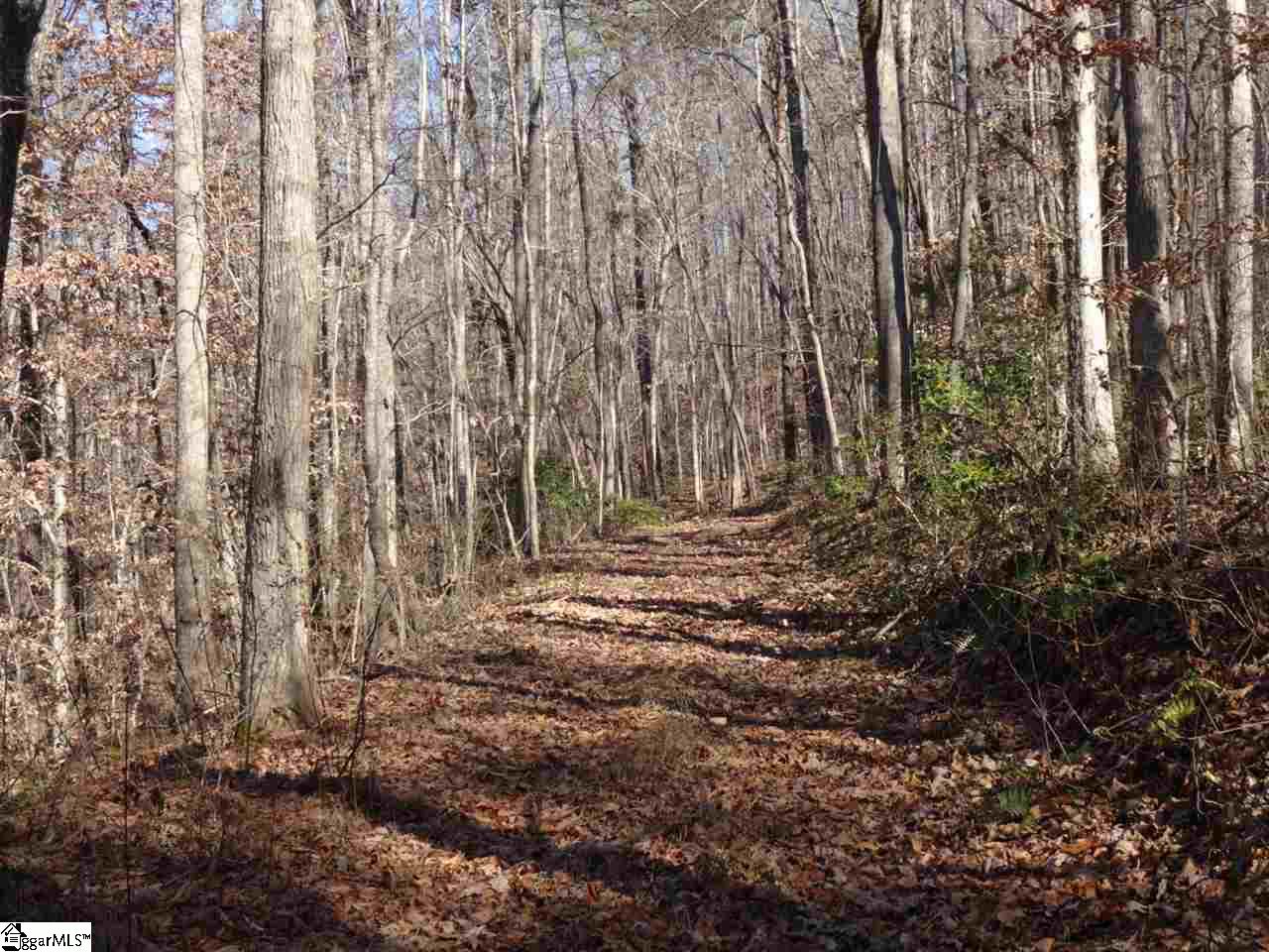 0 Old Settlement Road Travelers Rest, SC 29690 - Photo 28 of 36