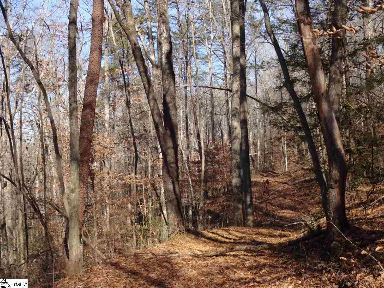 0 Old Settlement Road Travelers Rest, SC 29690 - Photo 29 of 36