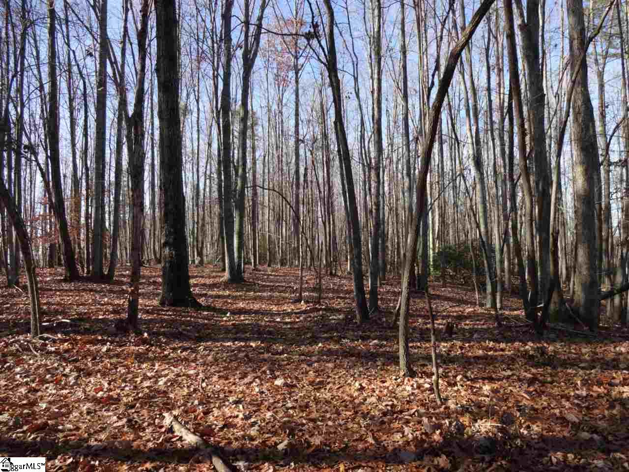 0 Old Settlement Road Travelers Rest, SC 29690 - Photo 30 of 36