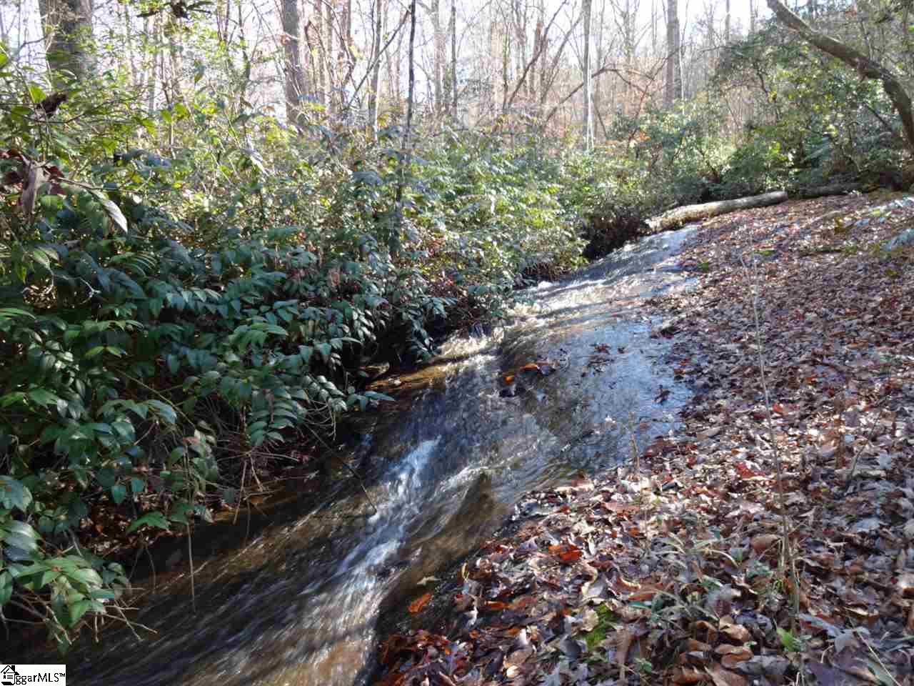0 Old Settlement Road Travelers Rest, SC 29690 - Photo 4 of 36