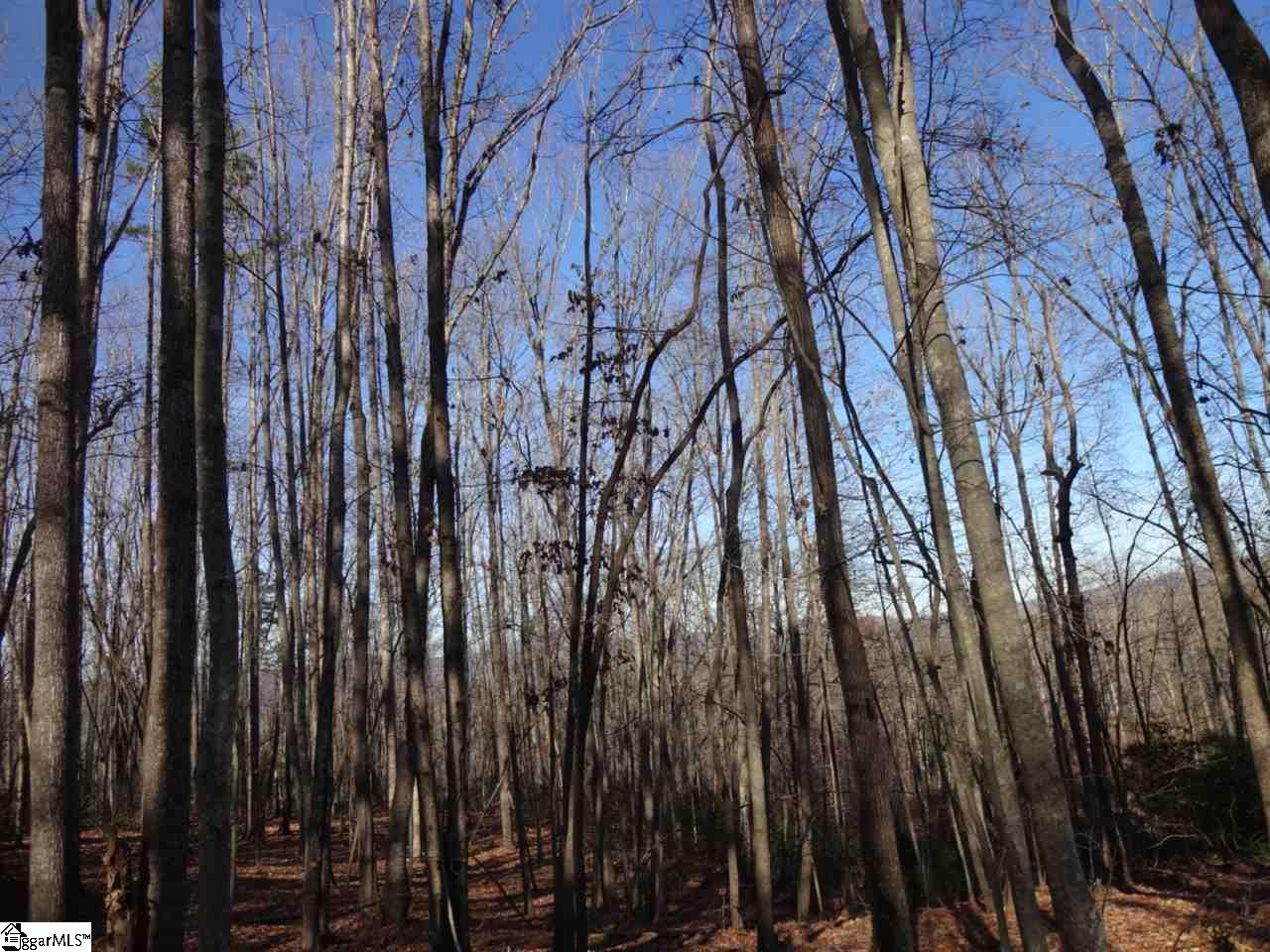 0 Old Settlement Road Travelers Rest, SC 29690 - Photo 31 of 36