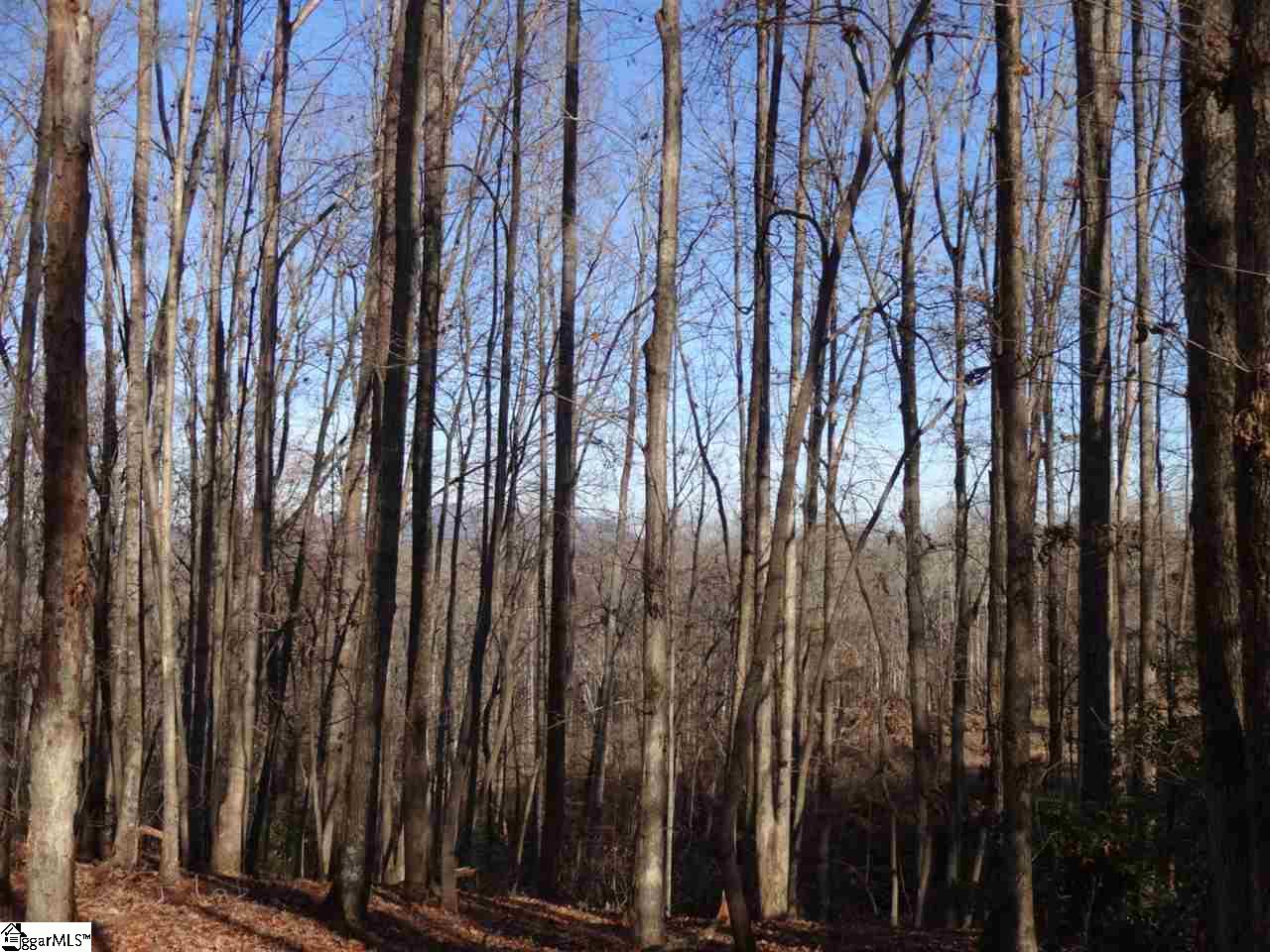 0 Old Settlement Road Travelers Rest, SC 29690 - Photo 36 of 36